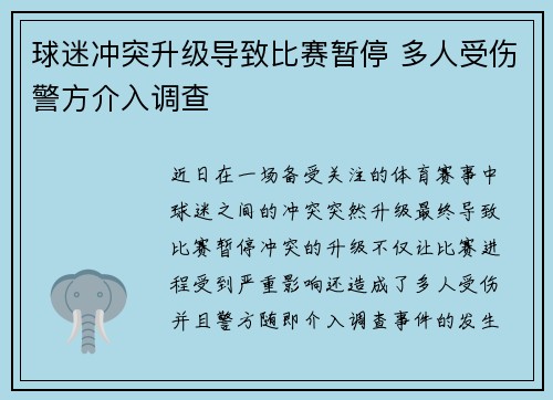 球迷冲突升级导致比赛暂停 多人受伤警方介入调查